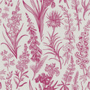 Botanical Graphic Wallpaper