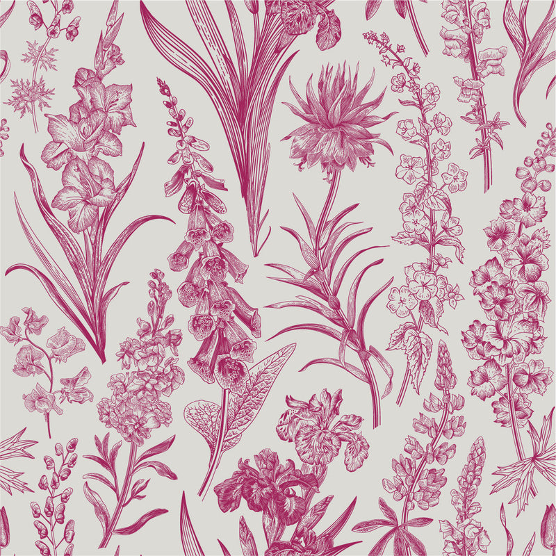 Botanical Graphic Wallpaper