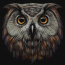 Painting by Numbers kit Bird of wisdom KHO4388