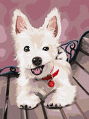 Painting by Numbers kit Playful puppy KHO4289