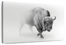 Wild Bison Wall Art