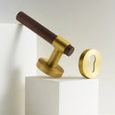 Paksa Handle and Lock