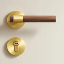 Paksa Handle and Lock