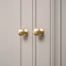 Palah Knob & Pull Bar