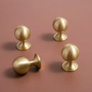 Palah Knob & Pull Bar