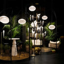 Palot Pendant Light