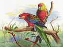 Parrots 509 Counted Cross Stitch Kit
