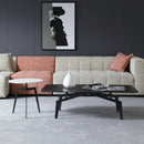Pashu Coffee Table