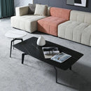 Pashu Coffee Table