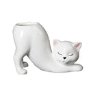 Pastel ceramic cat tail succulent planter bedroom flowerpot