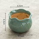 Pastel gradient lotus flower ceramic succulent pots bedroom decor