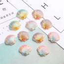 Pastel iridescent pearl shells beach decor embellishments bedroom art