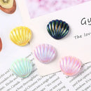 Pastel iridescent pearl shells beach decor embellishments bedroom art