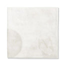 Patience Glossy Ceramic Accent Tiles 5x5