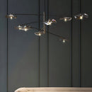 Pavus Chandelier