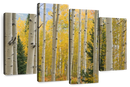 Elk Mountain Aspen Trees Wall Art