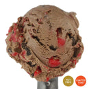 Peppermint Mocha Ice Cream | Pack of 4 | One Pint | Shipping Included | eCreamery