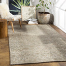 Pharr Wool & Faux Silk Rug