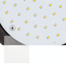 Phosara Outdoor Wall Lamp