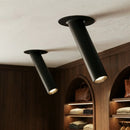 Photine Ceiling Light