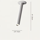 Photine Ceiling Light