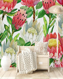 Red and White Protea Wallpaper