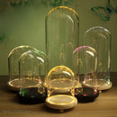 Pink and gold dry flower ornaments glass dome bedroom night light