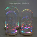 Pink and gold dry flower ornaments glass dome bedroom night light