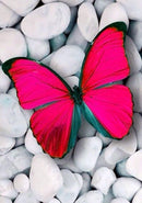 Pink Butterfly CS054  7.9 x 11.8 inches Crafting Spark Diamond Painting Kit
