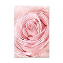 Pink Flower Canvas