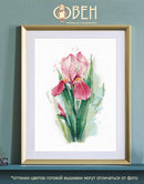 Pink iris 1424 Counted Cross Stitch Kit