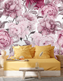Pink Peony on White Background Wallpaper Mural