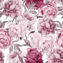Pink Peony on White Background Wallpaper Mural