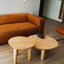 Pintha Coffee Table