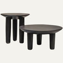Pintha Coffee Table