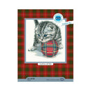 Playful kitten M708 Counted Cross Stitch Kit