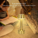 Plug less Portable Lamp