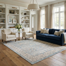 Anana Silver Blue & Beige Area Rug - Clearance