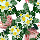 Protea and White Flowers Wallpaper