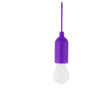 Portable LED Light Bulb – Perfect for Camping, Outdoors and Travel