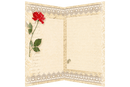 Postcard cross-stitch kit - Snow holiday AO-152