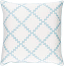 Poeldijk Aqua Pillow Cover
