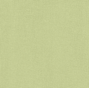Precut Zweigart Lugana 25 count Lime Green 3835/6140