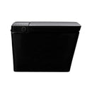 Alora Premium Multifunctional Single-Piece Automatic Smart Toilet With Remote Control, Matte Black (96471352)