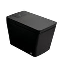 Alora Premium Multifunctional Single-Piece Automatic Smart Toilet With Remote Control, Matte Black (96471352)