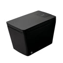 Alora Premium Multifunctional Single-Piece Automatic Smart Toilet With Remote Control, Matte Black (96471352)
