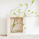 Rustic Botanical Wall Frame