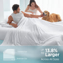 Breescape Cooling Comforter Blanket