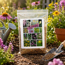Prairie Pronto Native Nebraska Seed Mix | 2.4 oz | Prairie Legacy Inc.
