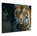 Prowling Tiger - Print